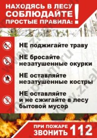 Плакат Правила в лесу (пленка А4)
